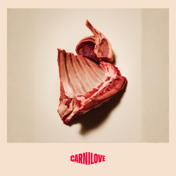 Carnilove | Active Cat Lamb & Wild boar