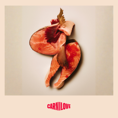 Carnilove | Active Dog Salmon & Turkey Small Breed
