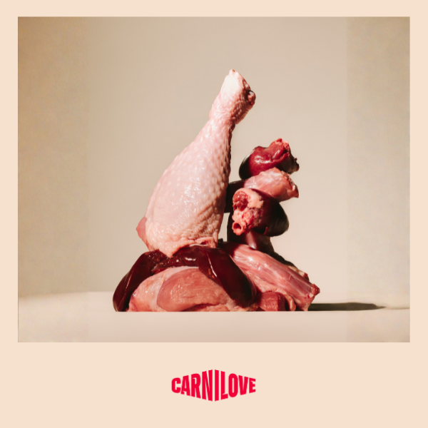 Carnilove | Active Dog Salmon & Turkey Puppy