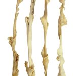 Nova | Lamb Skin Stick 40-50cm