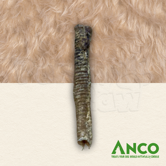 Anco | Lamb Tube