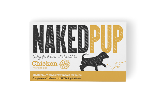 Naked Pup | Chicken 2x500g