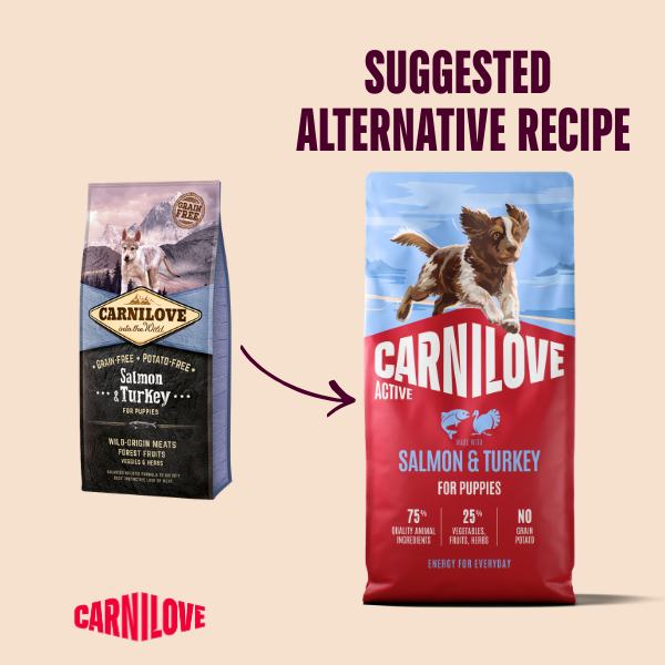 Carnilove | Active Dog Salmon & Turkey Puppy