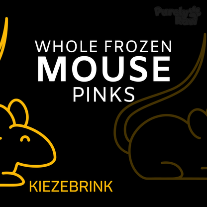 Kiezebrink | Whole Mouse & Mice