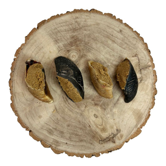 Nova | Hooves filled Peanut Butter