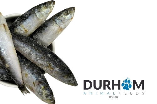 Durham | Sardines 1kg