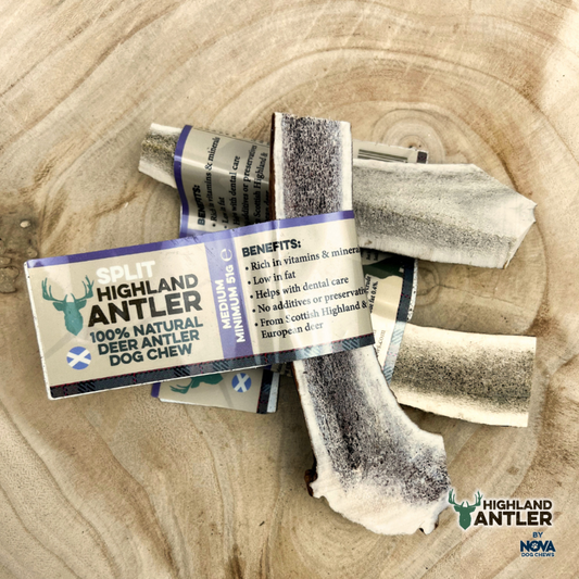 Highland Antler Split Deer Antler Medium (51-80g)