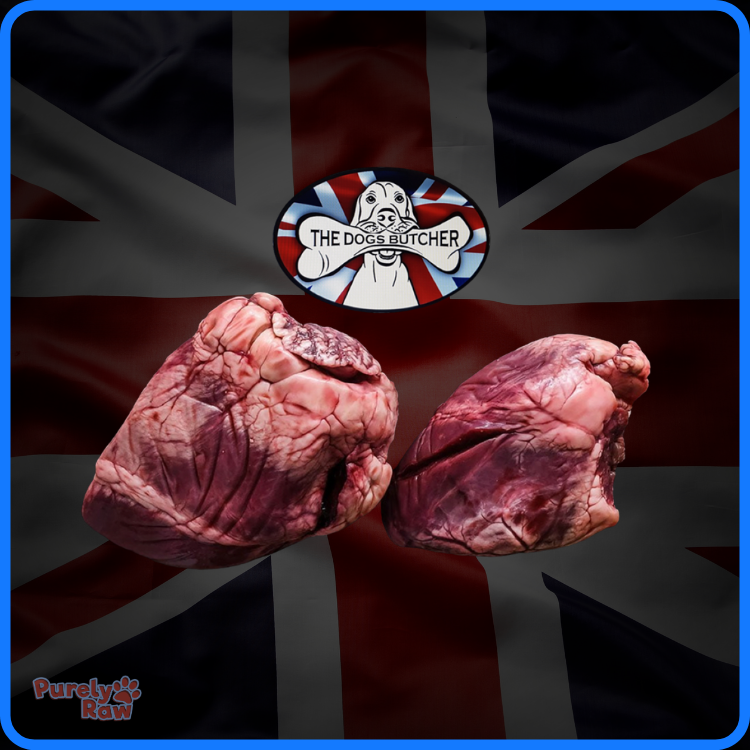 The Dogs Butcher | Whole Lamb Hearts x 4