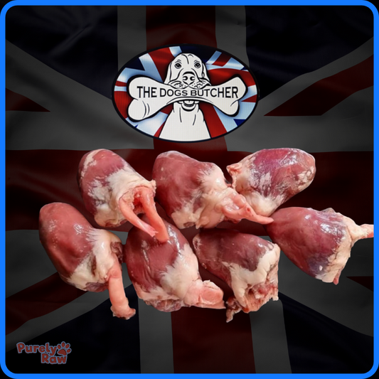 The Dogs Butcher | Turkey Hearts 1kg