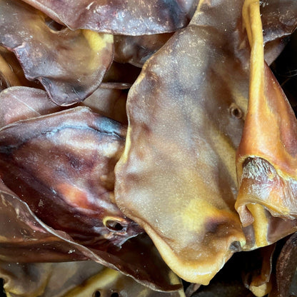 JUMBO Pig Ear 1pc