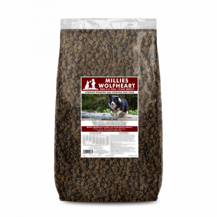 Millies Wolfheart | 50/50 Agility Mix