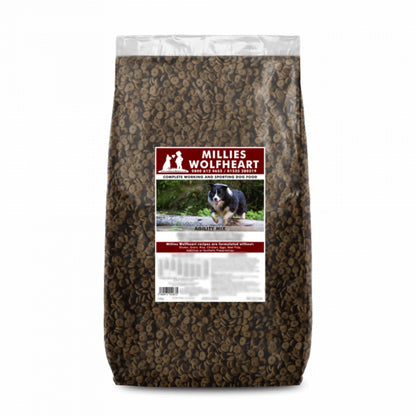 Millies Wolfheart | 50/50 Agility Mix