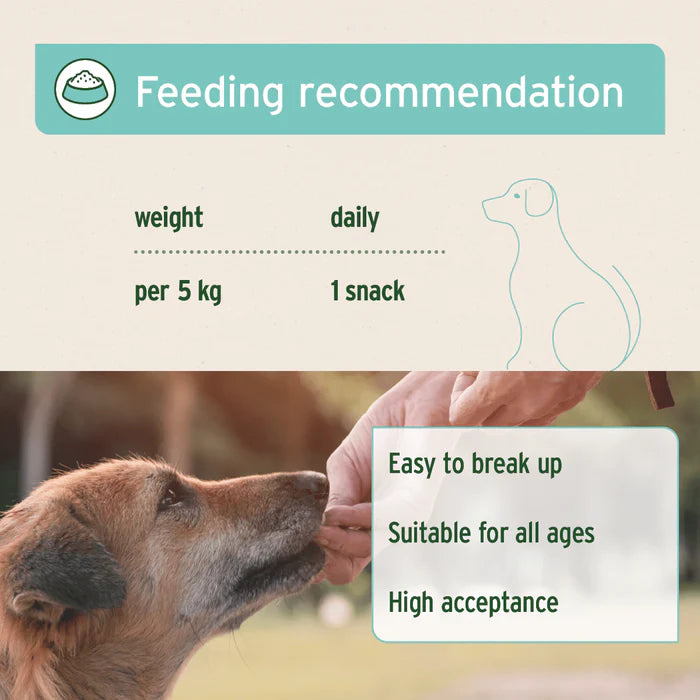 Aniforte | Dental Snack