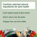 Aniforte | Joint Snack 50g