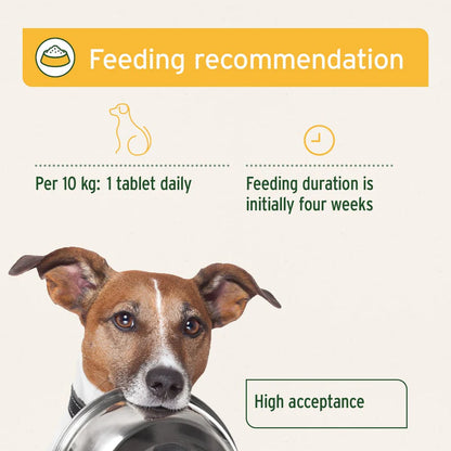 Aniforte | Probiotic Tablets x 90