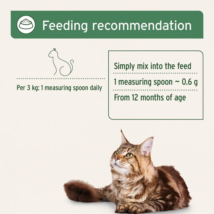 Aniforte | Feline Complete 100g