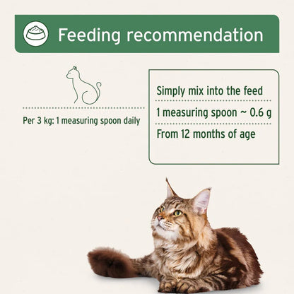 Aniforte | Feline Complete 100g