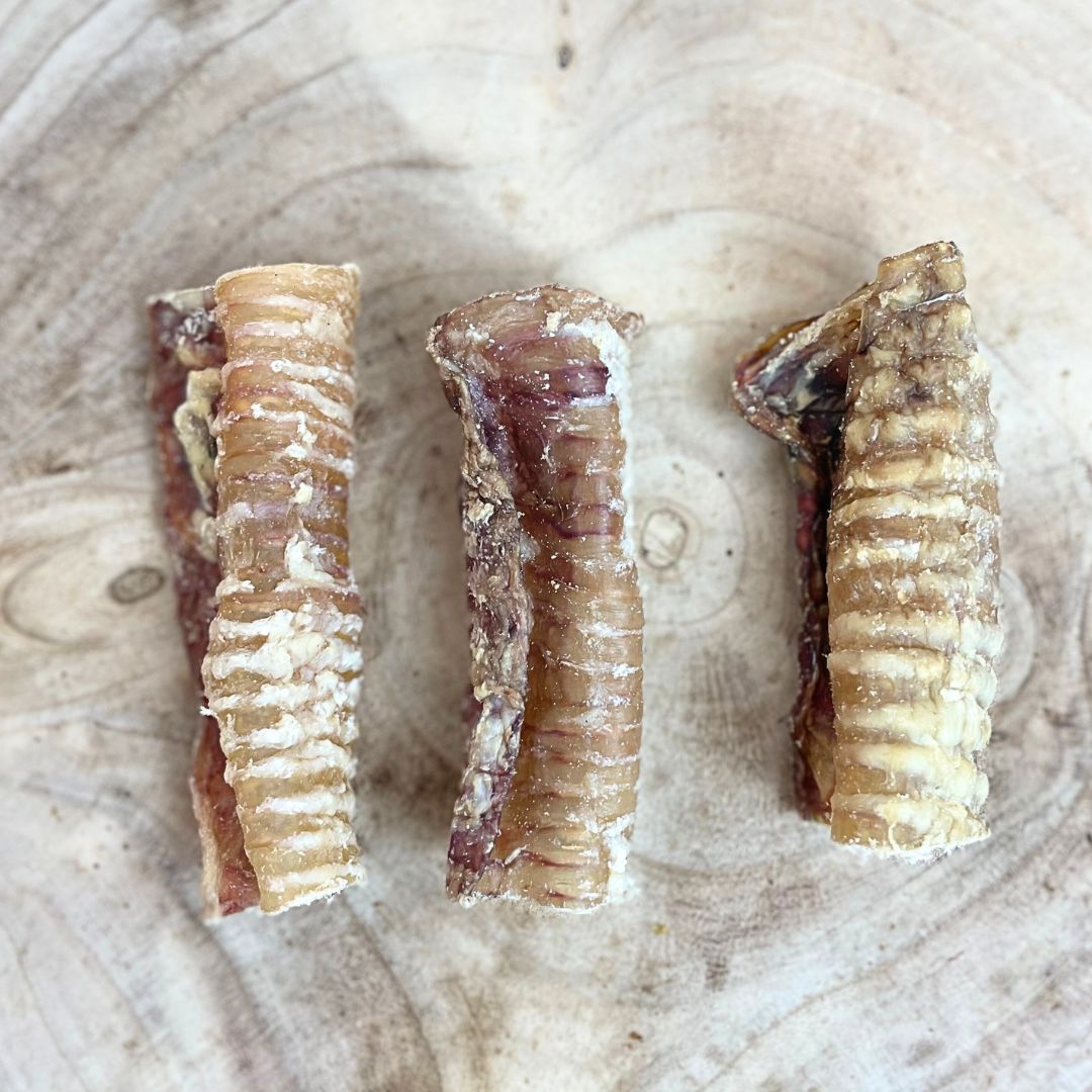 Nova | Beef Trachea 12cm