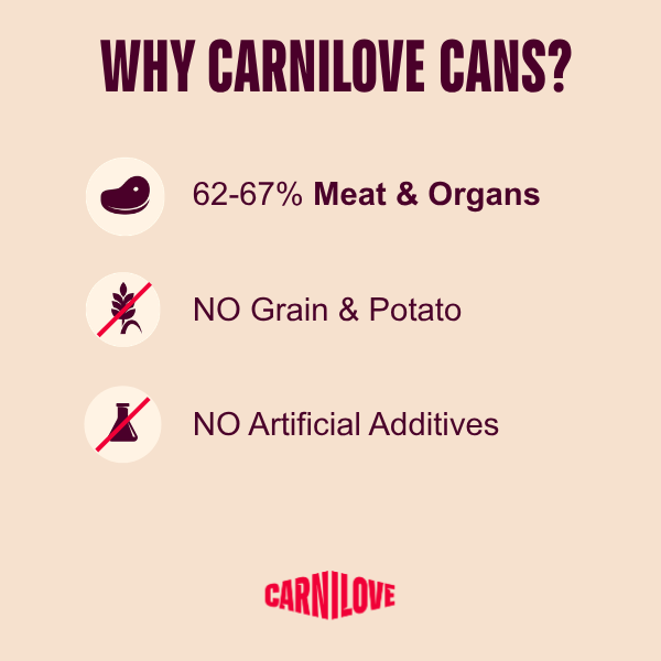 Carnilove | Turkey & Salmon Pate for Cats 100g