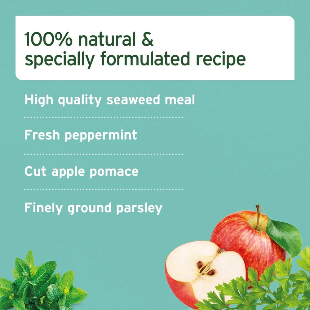 Aniforte | Dental Powder for Dogs and Cats 80g