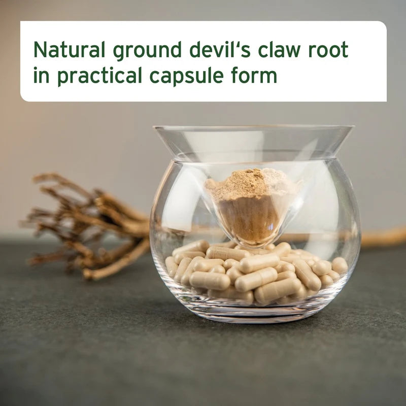 Aniforte | Devil's Claw Root x 100 tablets