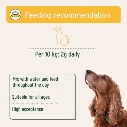 Aniforte | Digestox 500g - Supports Body Detoxification