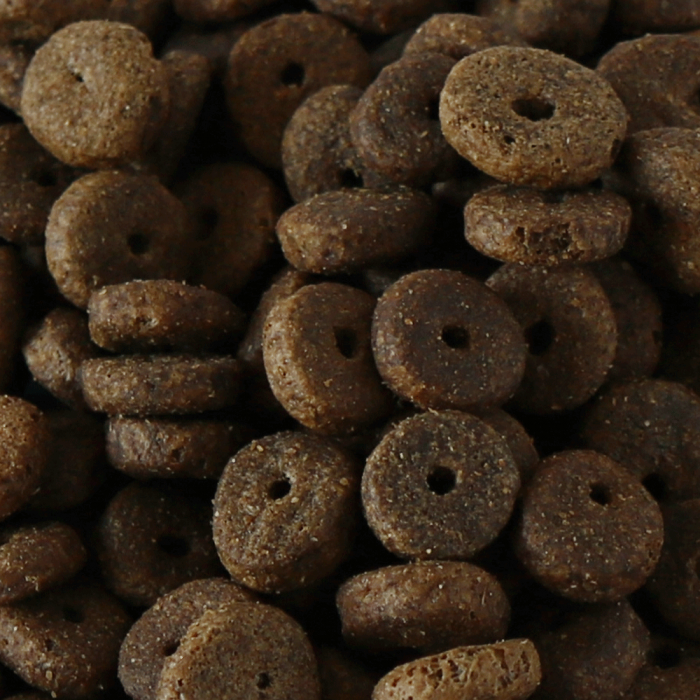 Millies Wolfheart | 40/60 Forerunner