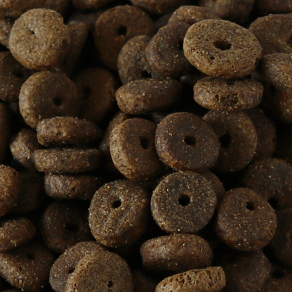 Millies Wolfheart | 40/60 Forerunner