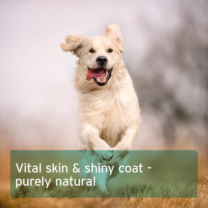 Aniforte | Fur Harmony Vital Powder 250g