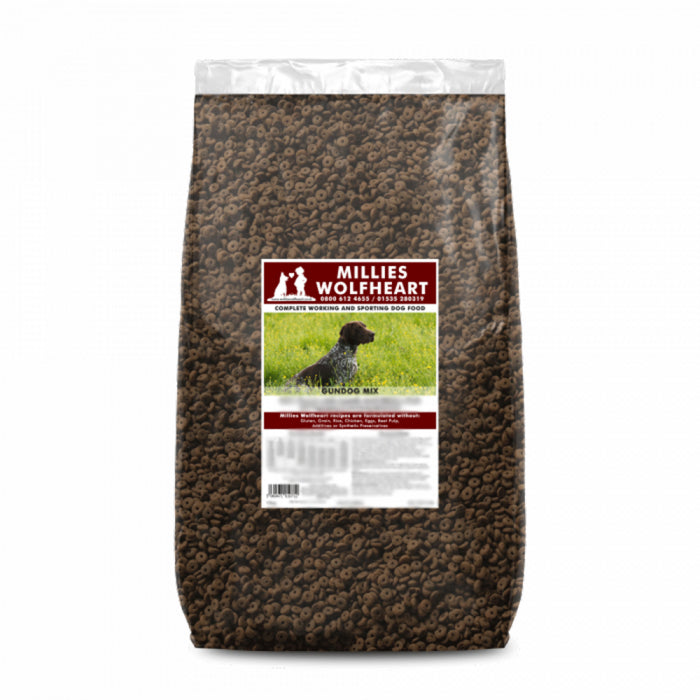 Millies Wolfheart | 50/50 Gundog Mix