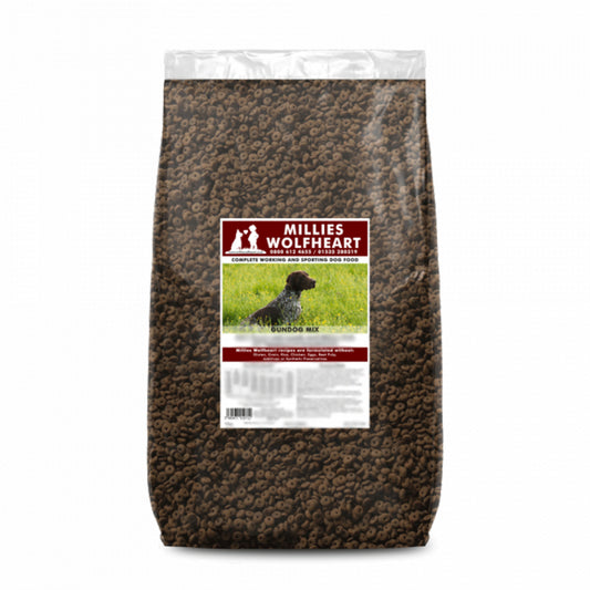 Millies Wolfheart | 50/50 Gundog Mix