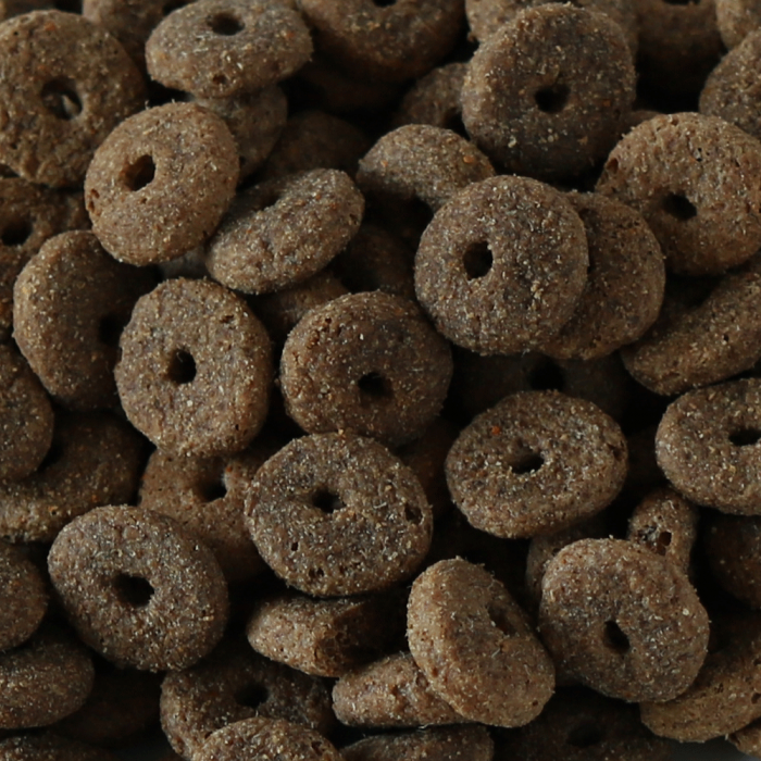 Millies Wolfheart | 50/50 Gundog Mix