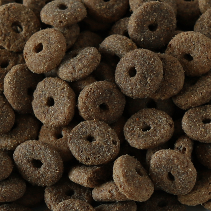 Millies Wolfheart | 50/50 Gundog Mix