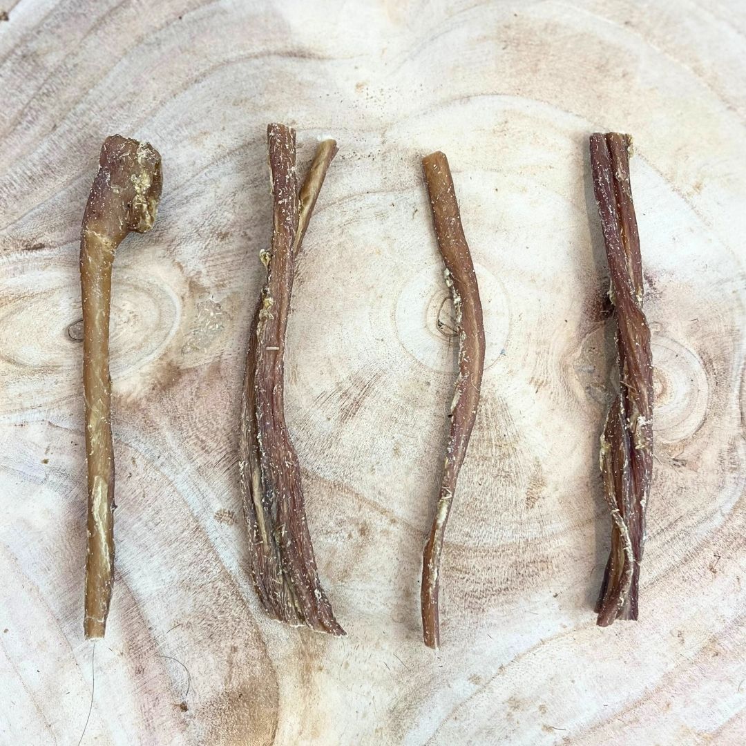 Nova | Lamb Spaghetti Gullet