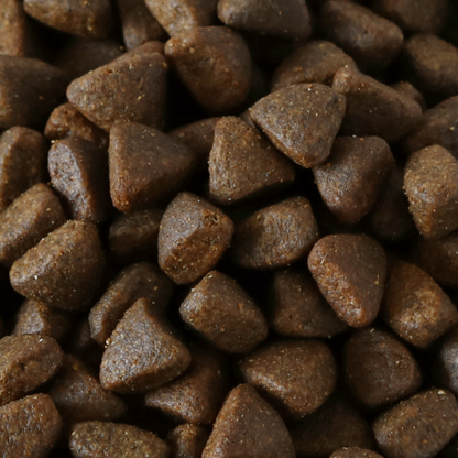 Millies Wolfheart | 70/30 Obedience Mix