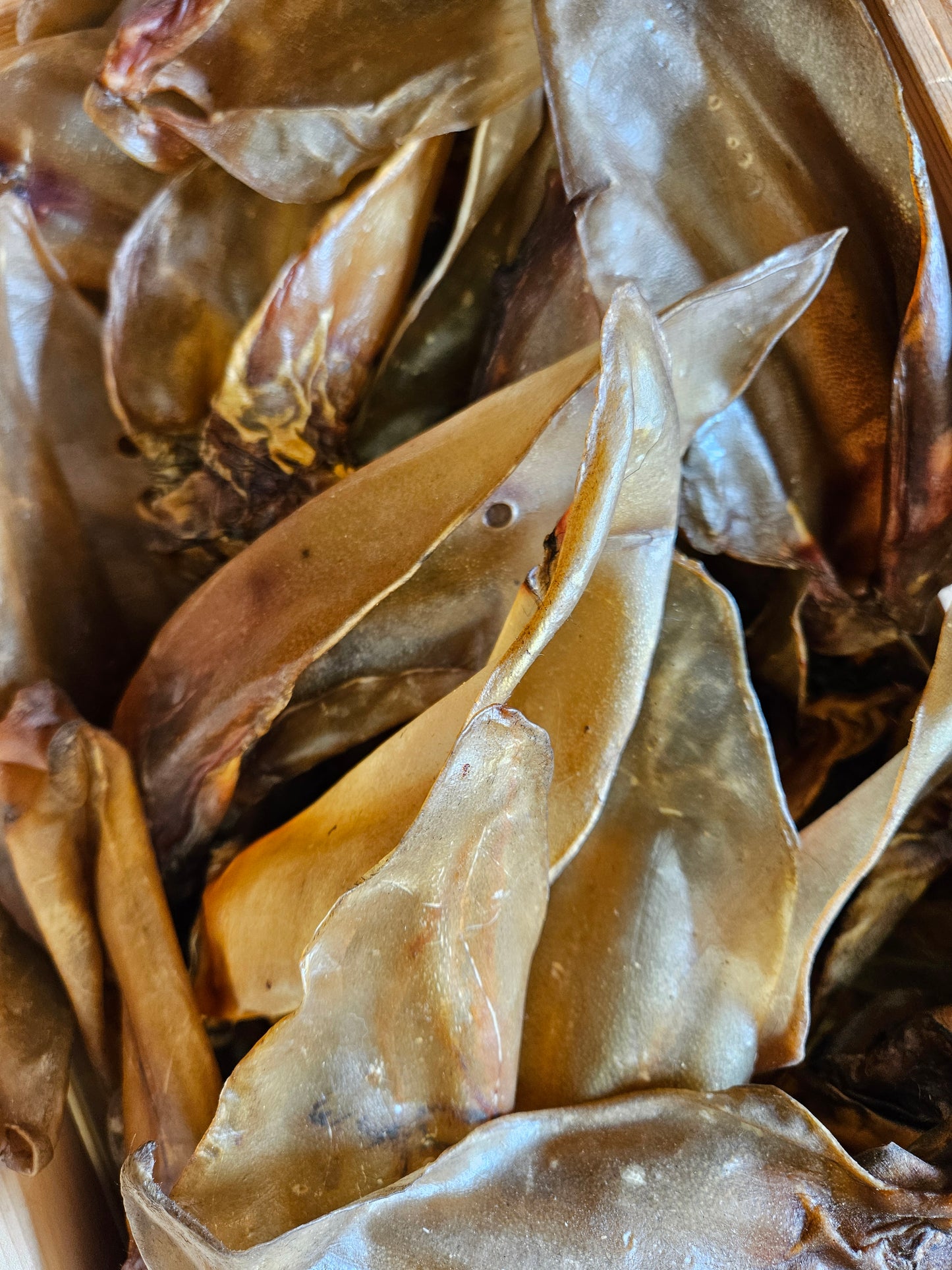 PRIZE | Buffalo Ears 10 Pack