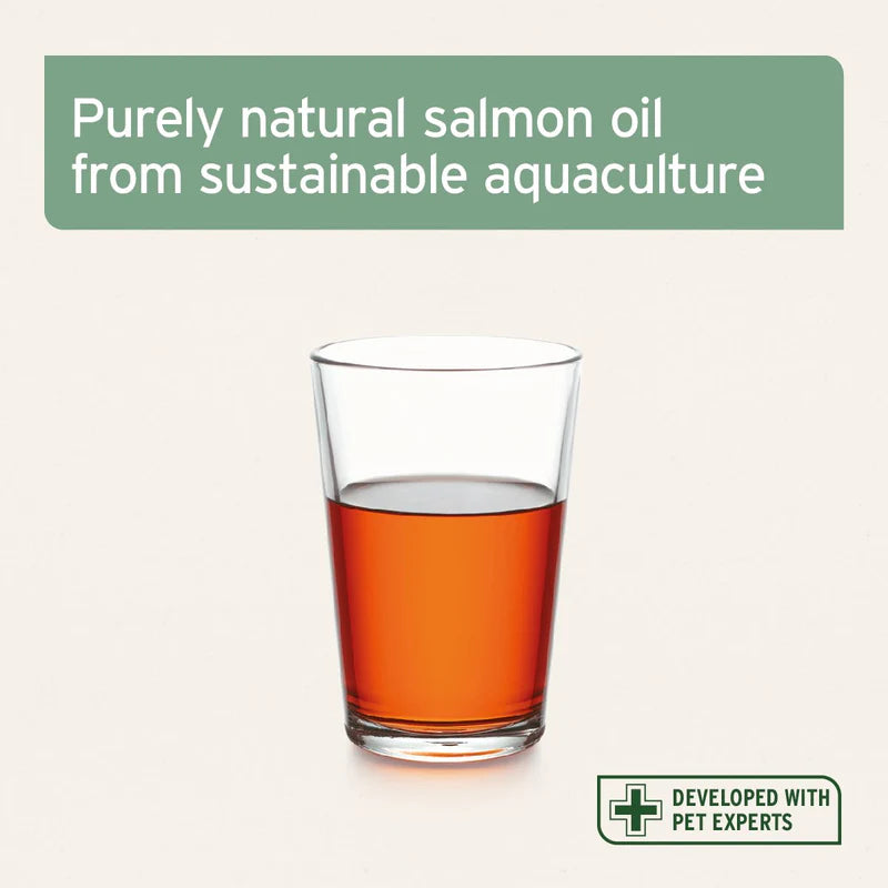 Aniforte | Salmon Oil for Dogs, Cats, Horses 100ml