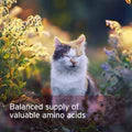 Aniforte | Taurine Powder for Cats 100g