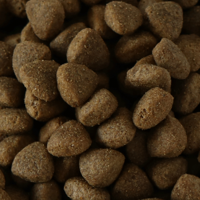 Millies Wolfheart | 60/40 Tracker Mix (Low fat)