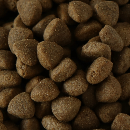 Millies Wolfheart | 60/40 Tracker Mix (Low fat)