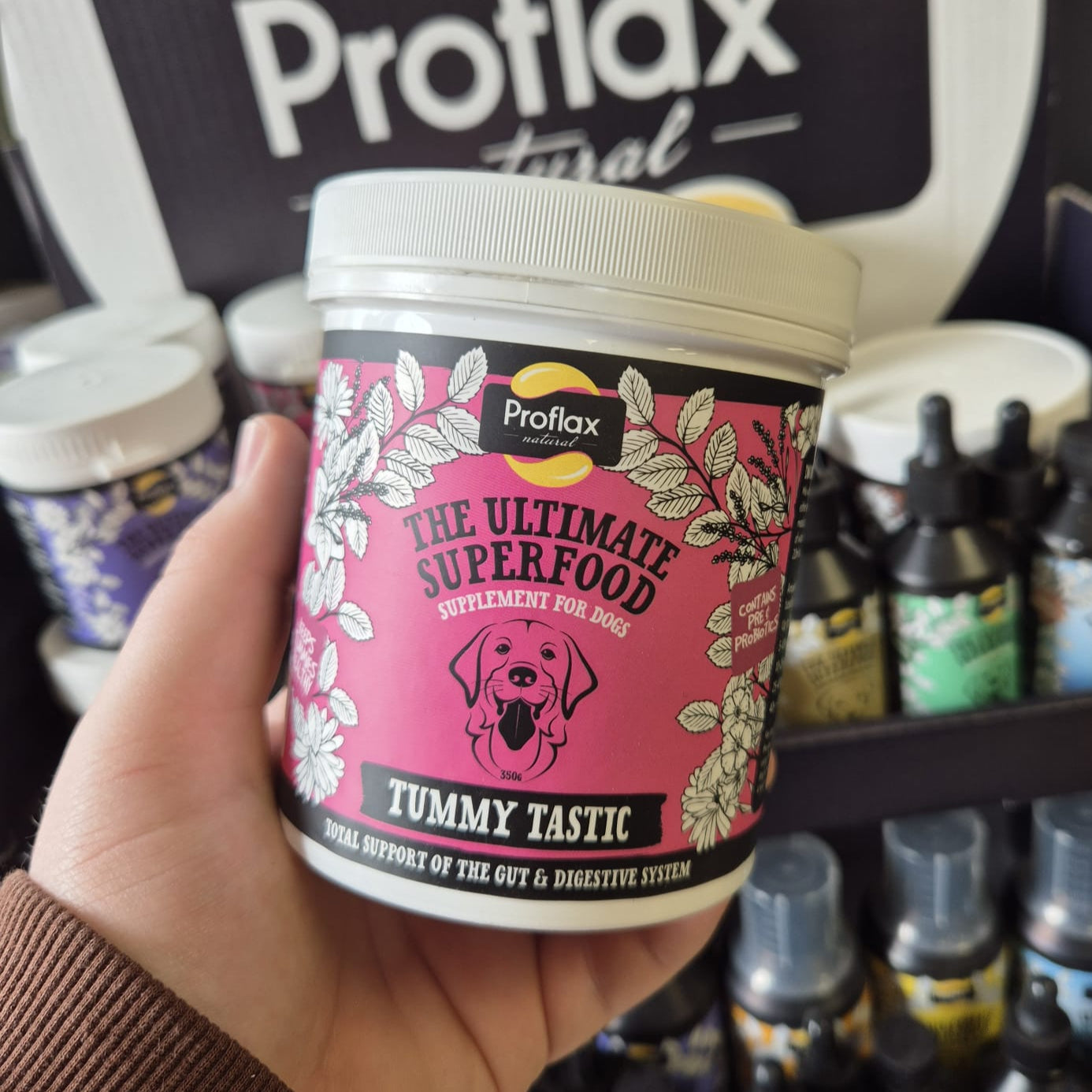 Proflax | Tummy Tastic For Dogs