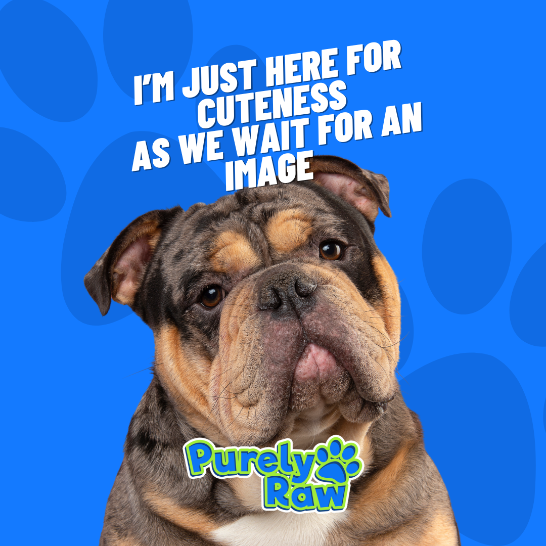 PRIZE | Buffalo Trachea 500g