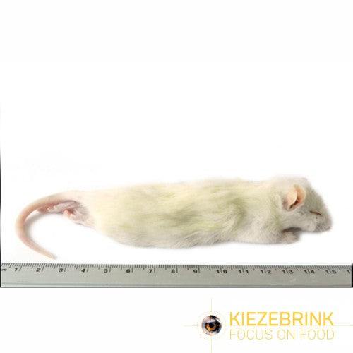 Kiezebrink | Rat Weaner Large (25 Pack)
