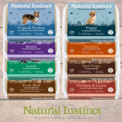 Natural Instinct Dog Completes (2x500g)