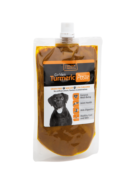 Golden Turmeric Paste