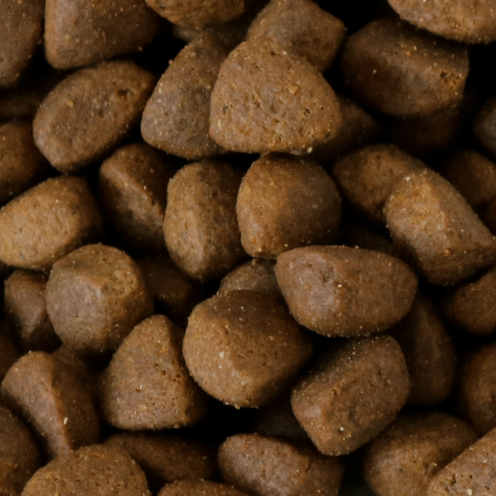 Millies Wolfheart | 70/30 Forager