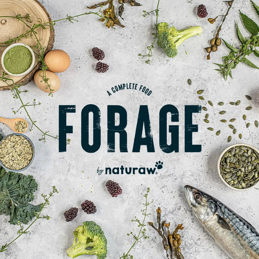 Naturaw | Forage Senior Grass Fed Beef 500g – Purely Raw